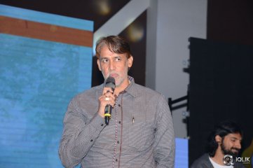 Pelli Choopulu Movie Audio Launch